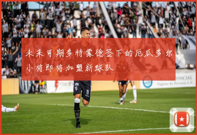 未来可期多特蒙德签下的厄瓜多尔小将即将加盟新球队