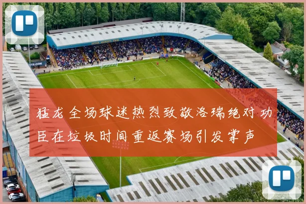猛龙全场球迷热烈致敬洛瑞绝对功臣在垃圾时间重返赛场引发掌声