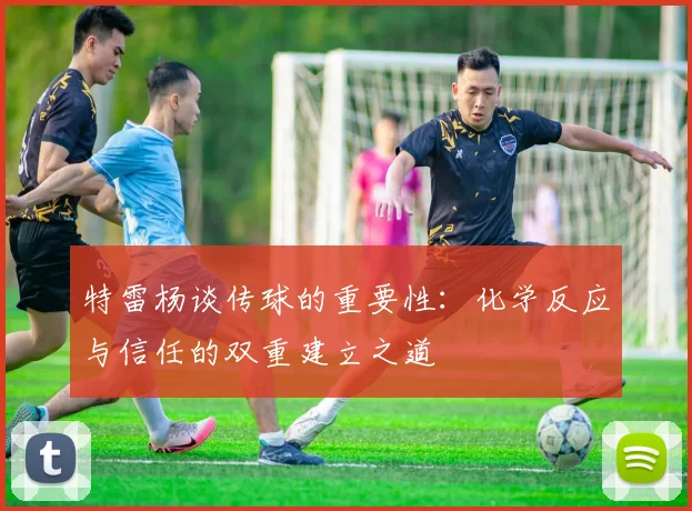特雷杨谈传球的重要性：化学反应与信任的双重建立之道