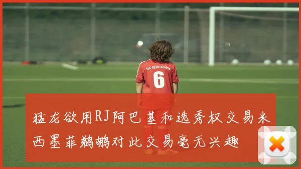 猛龙欲用RJ阿巴基和选秀权交易米西墨菲鹈鹕对此交易毫无兴趣